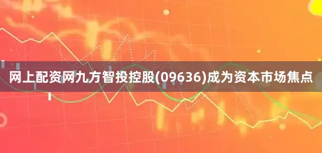 网上配资网九方智投控股(09636)成为资本市场焦点