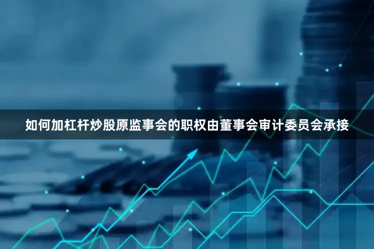 如何加杠杆炒股原监事会的职权由董事会审计委员会承接